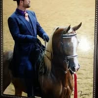 Nicholas A Contreras's profile image