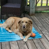 Bridget Kenney Sheets's profile image