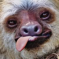 Mathew Wheeler's profile image