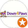 Down 4 Paws Dog T.