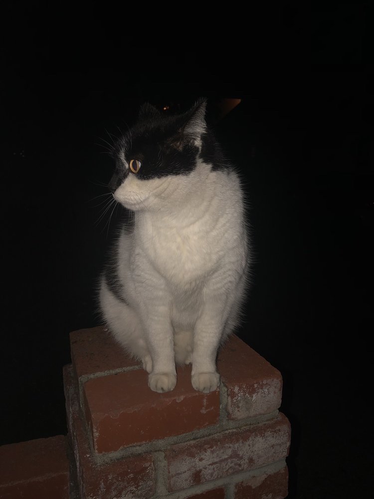 Mimi M.'s profile image