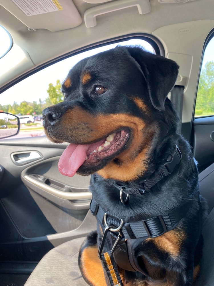 Sara A.'s profile image