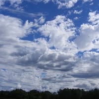 Judie B. Crooks's profile image