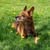 Kris Betts's profile image
