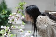 Cecilia C.'s profile image