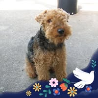 Rosemary Price Rattan's profile image