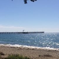 Suzan R.'s profile image