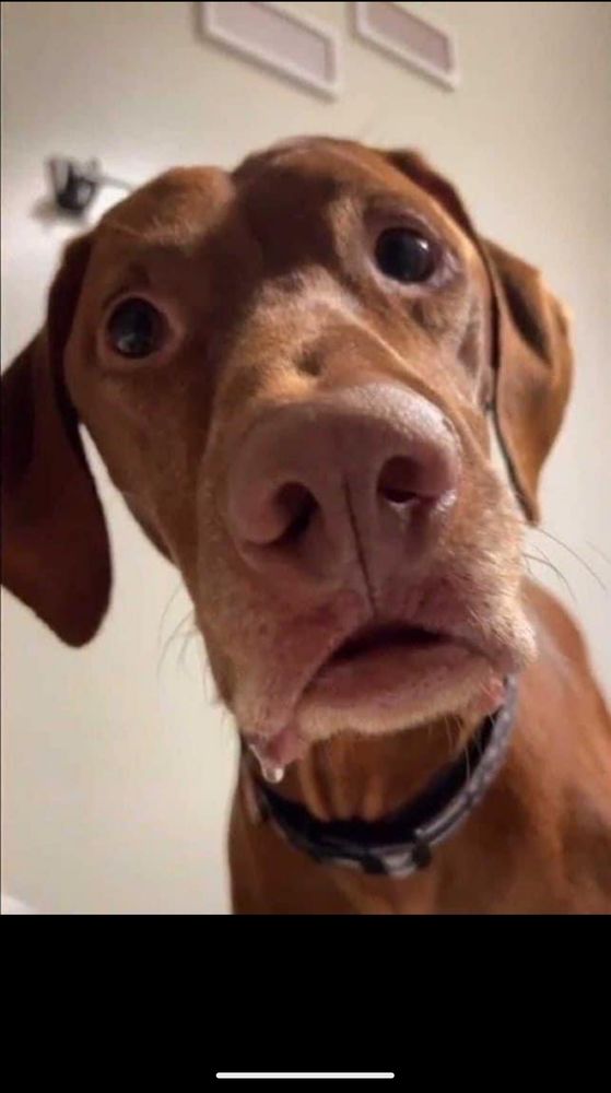 Karen L.'s profile image