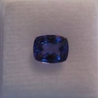 Lisa M. DeStefano's profile image
