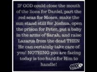 Shenell B.'s profile image