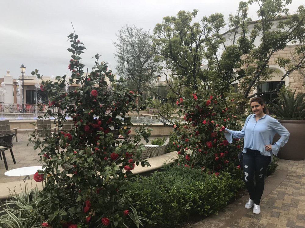 Yasamin R.'s profile image