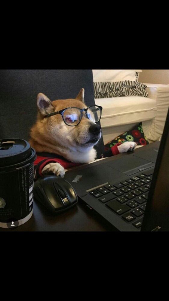 Nick M.'s profile image