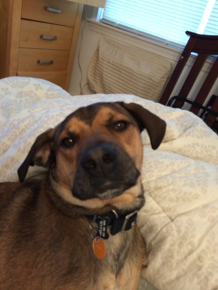 Kay T.'s profile image