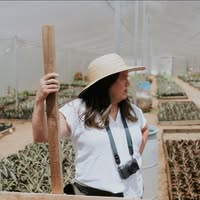 Lalla T. Pierce's profile image