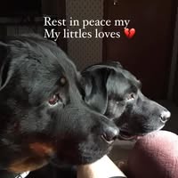 Brenda Bam Moreland's profile image