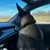 Malek Naji's profile image