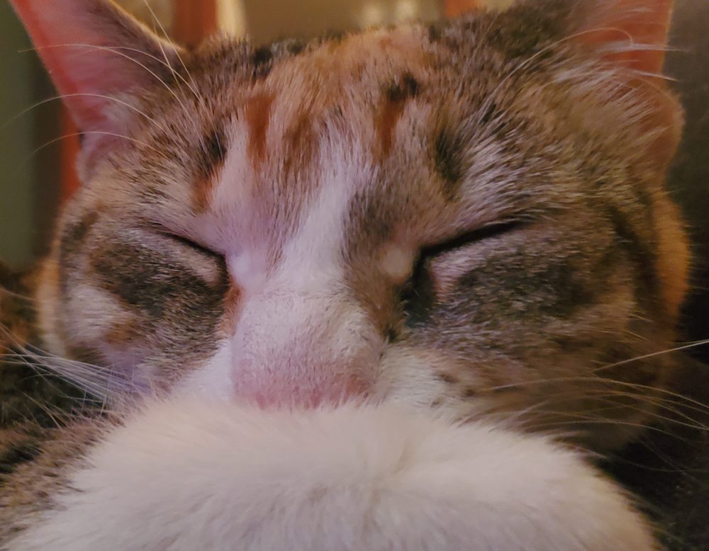 Sharon J.'s profile image