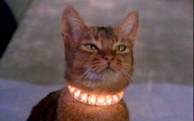 Jennifer F.'s profile image