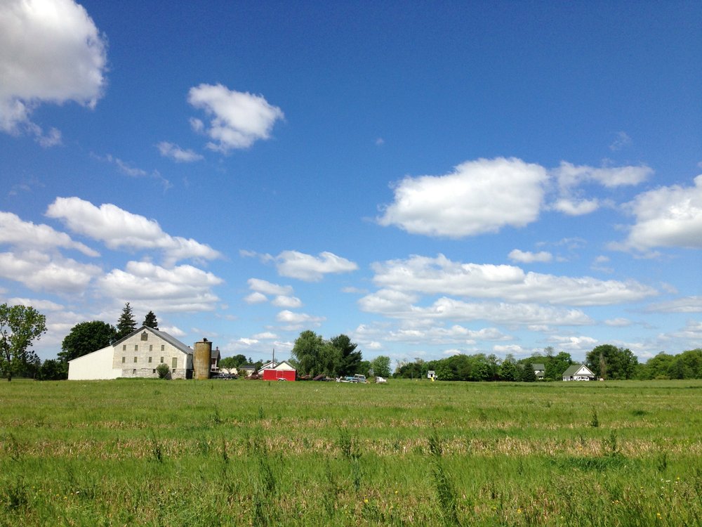 Kris K.'s profile image