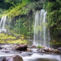 Patrick Muhammad's profile image