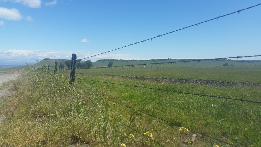 Theresa F.'s profile image