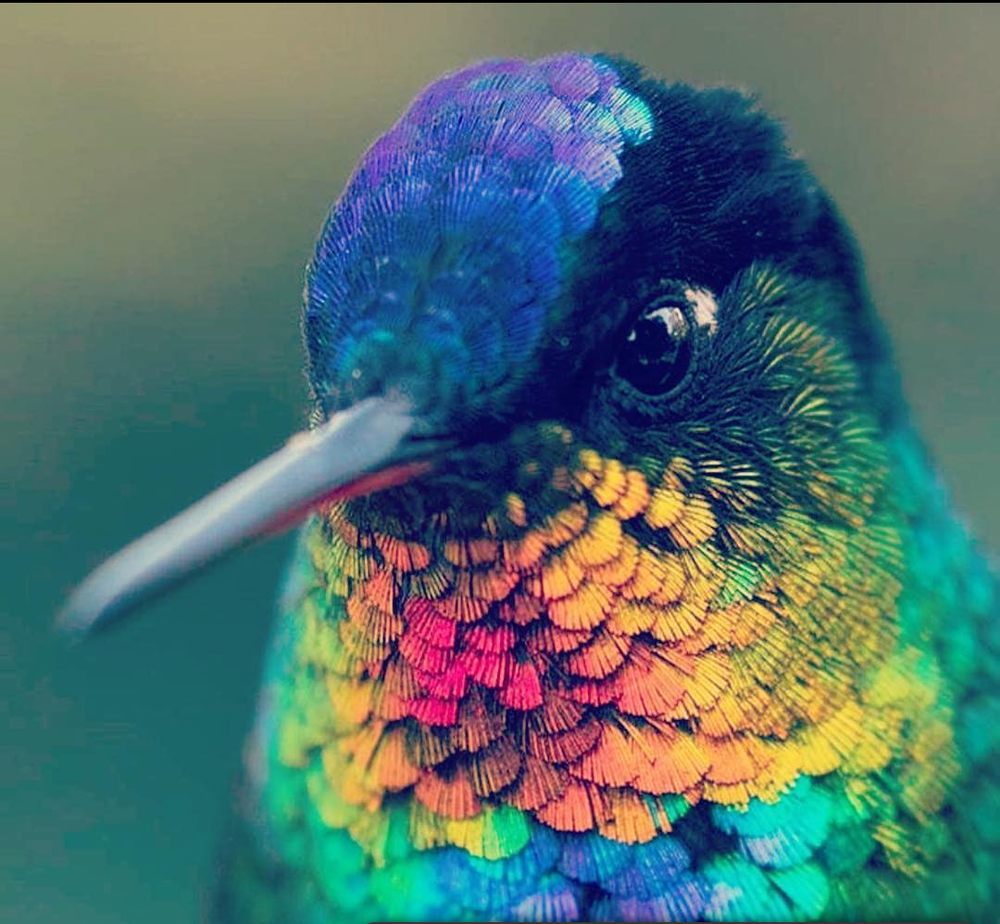 margot v.'s profile image