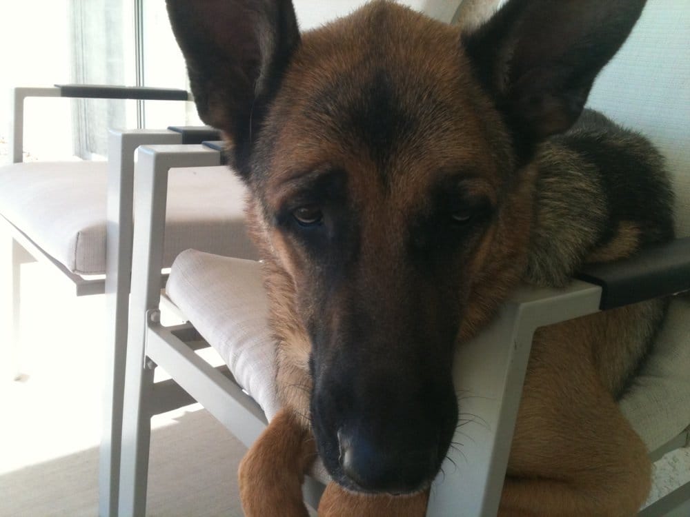 Zeek W.'s profile image