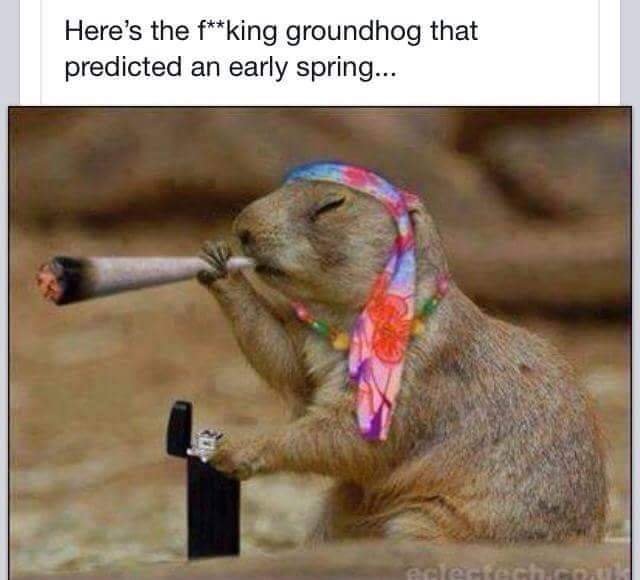Kc R.'s profile image
