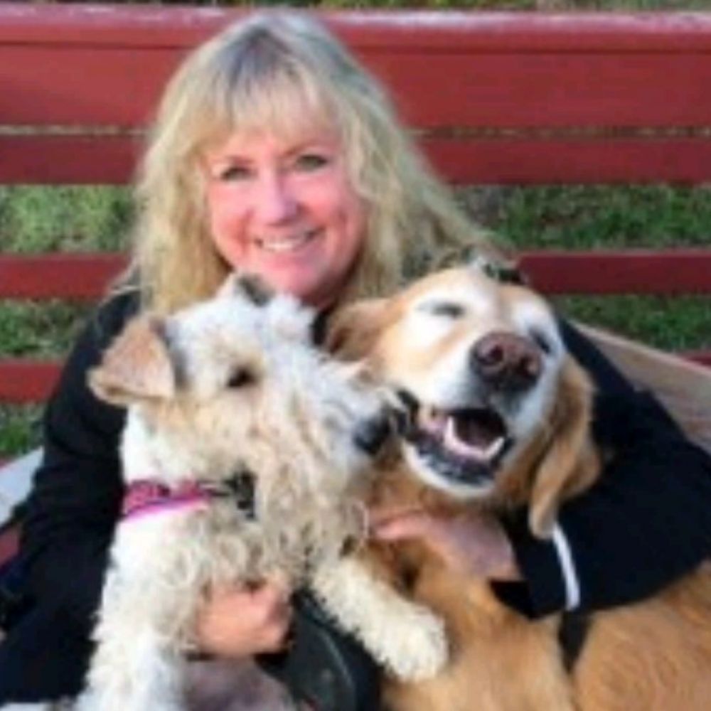 Candy J.'s profile image