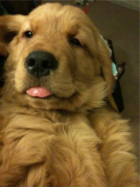 Tricia W.'s profile image