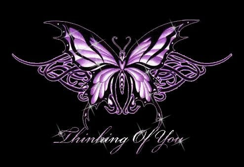 Moxie Y.'s profile image