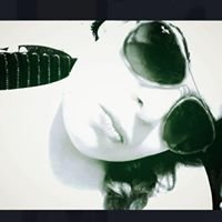 Nancy G.'s profile image