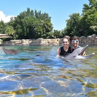 Felicia Marsala Tosco's profile image