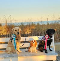 Joan Fortsch's profile image