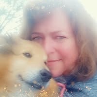 Marianne Kaarevik's profile image