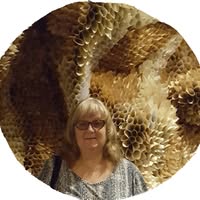 Bridget Capasso's profile image