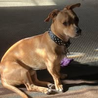 Margie Kelley's profile image