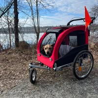 Brian Malarkey's profile image