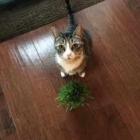 Sandy D'Amore's profile image