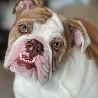 Carla Marie's profile image
