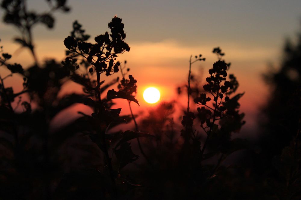 T D.'s profile image