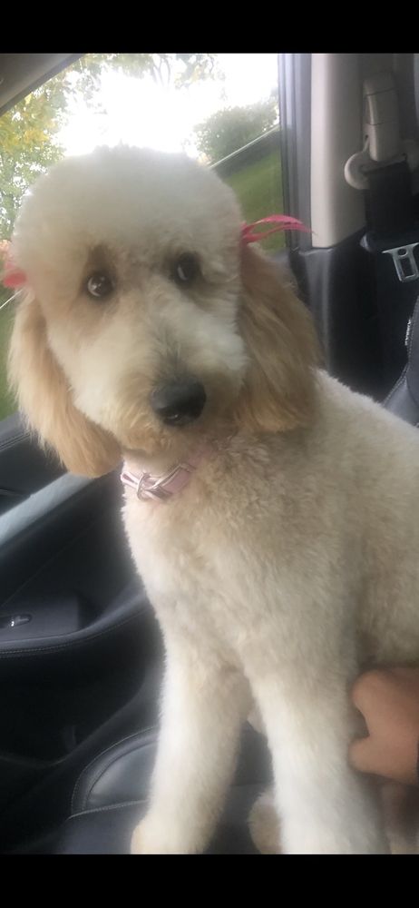 Julie L.'s profile image