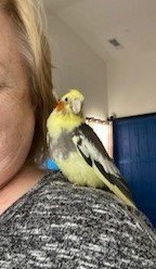 Lori D.'s profile image