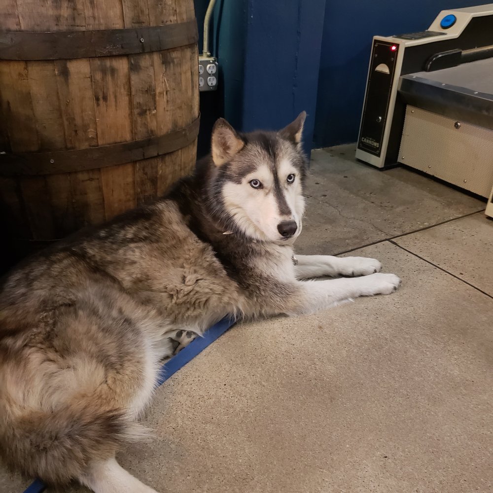 christy d.'s profile image