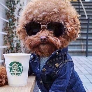 Alex A.'s profile image