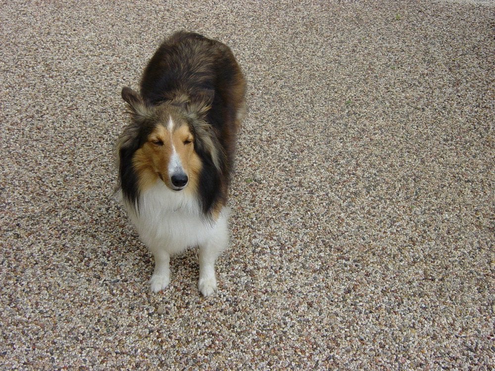 John A.'s profile image