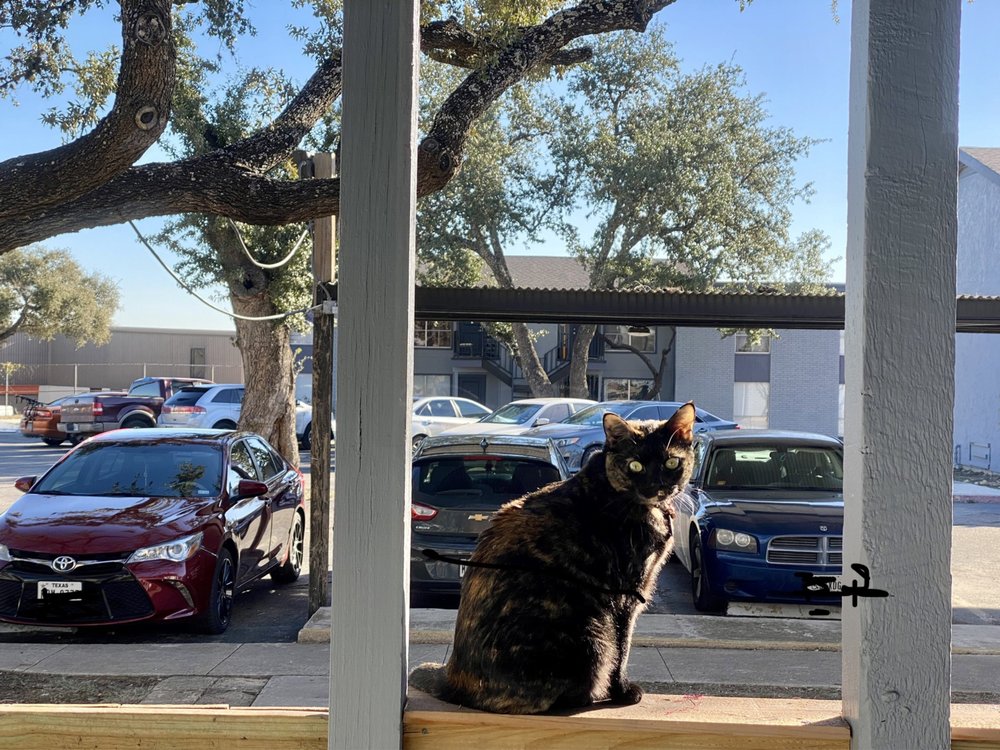 Christine G.'s profile image