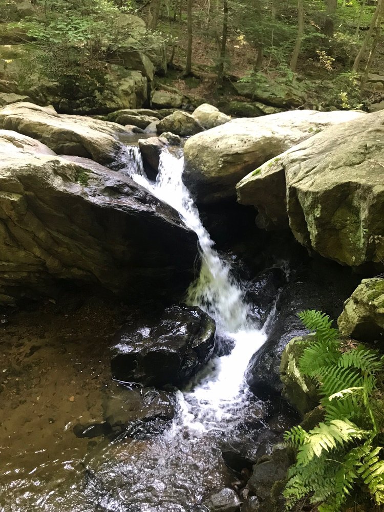 Russell J.'s profile image