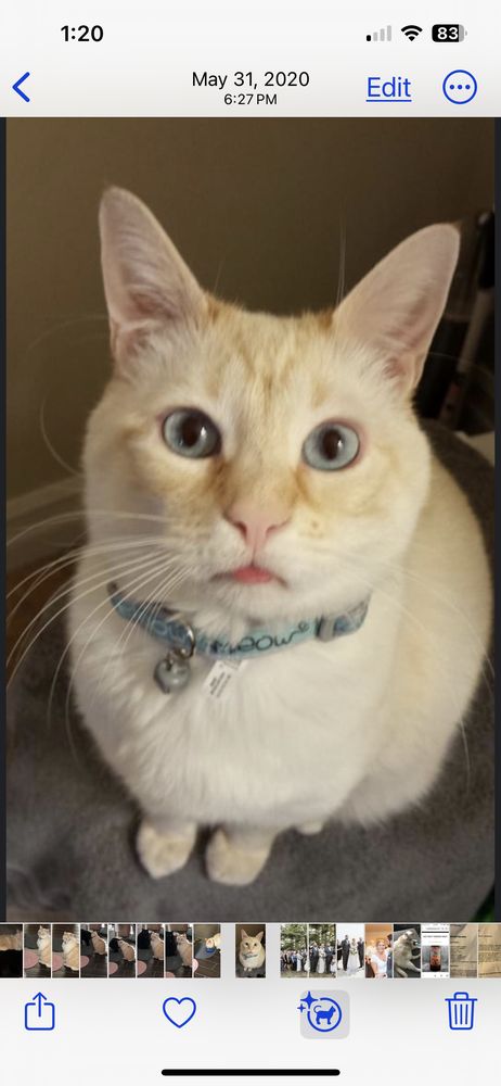 Michelle H.'s profile image