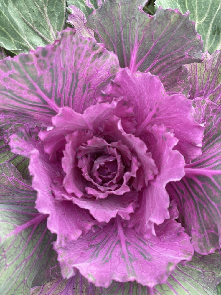 Sarah B.'s profile image